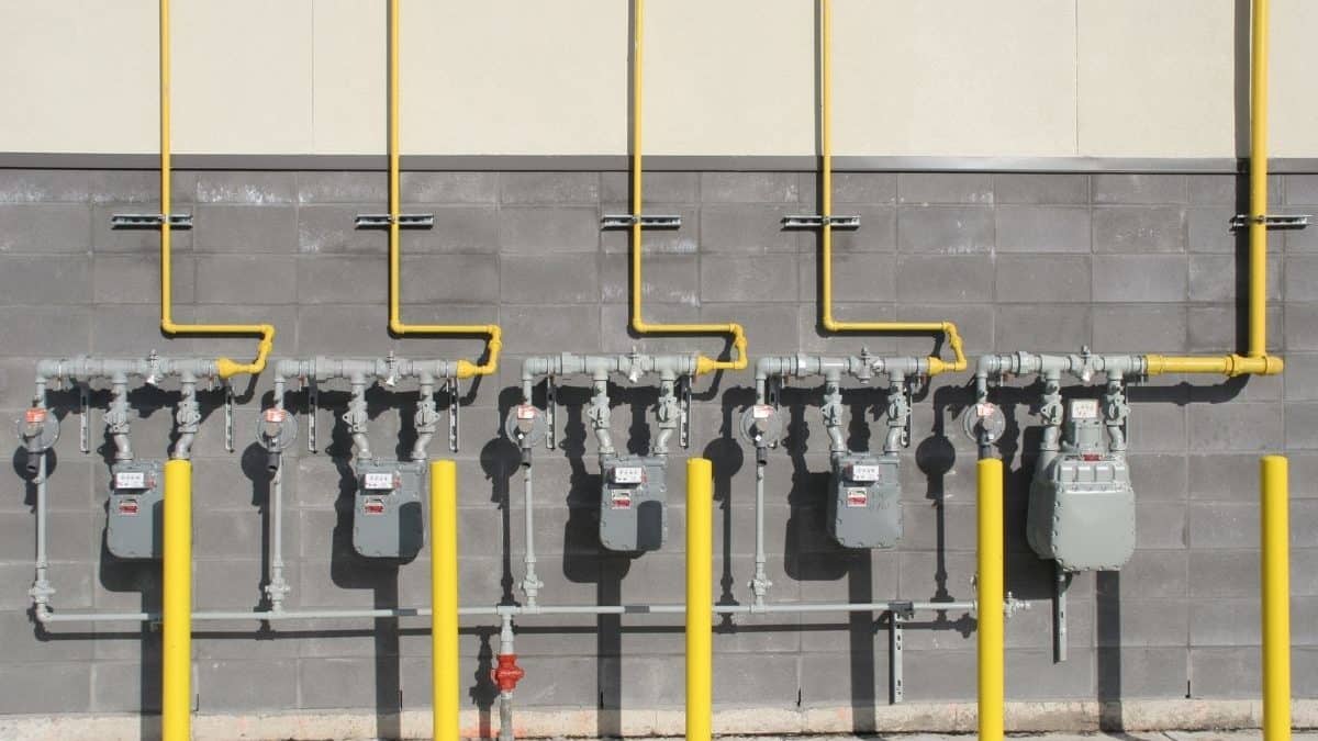 Recipe: Crispy Mushroom Spinach Salad In Sesame Seed Oil And Red Pepper