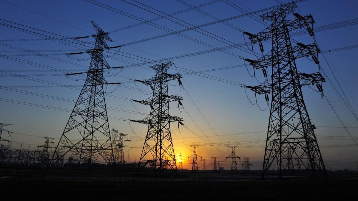 Tips&Tricks: It Always Comes Handy To Freeze Berries For Later Use